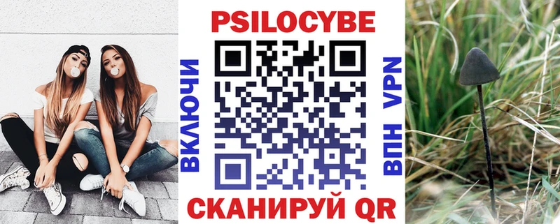 Галлюциногенные грибы Psilocybine cubensis  blacksprut рабочий сайт  Гай 